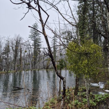 Smaragdové Plitvice a večerný Záhreb 066