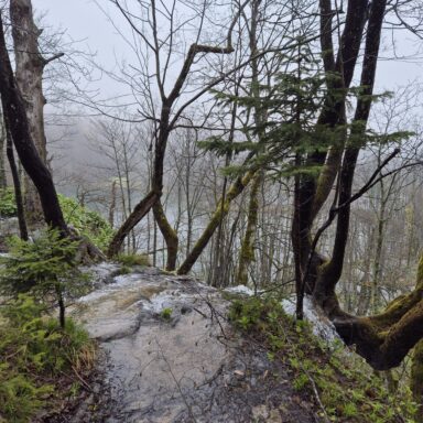 Smaragdové Plitvice a večerný Záhreb 069
