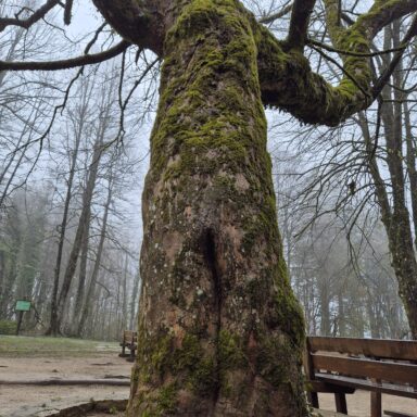 Smaragdové Plitvice a večerný Záhreb 070