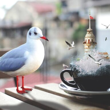 Istanbul bez hraníc: Orient v premiérovom štýle 004