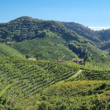 Talianska jazda La Dolce Vita: Zážitková cesta za Proseccom a gastronómiou s bohatými degustáciami 024